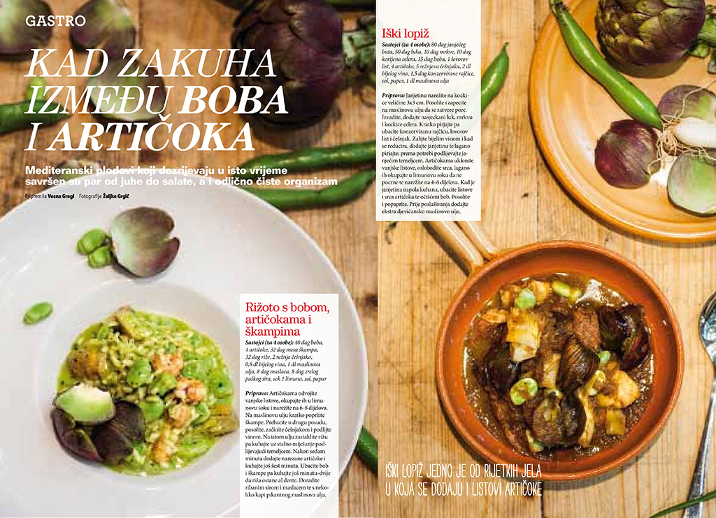 gastro-bob-articoka-page_1